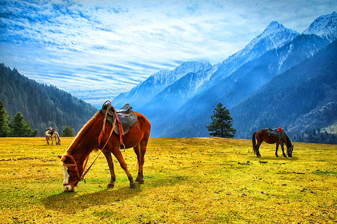 Aru Valley Near Pahalgam