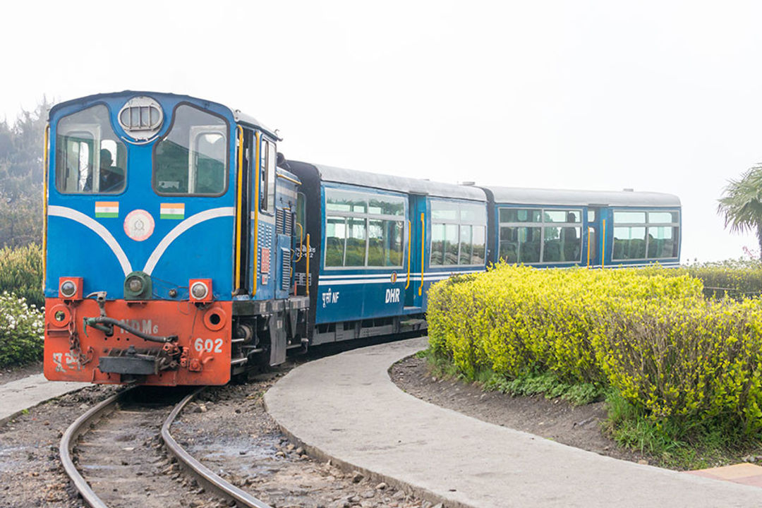 Darjeeling Sightseeing