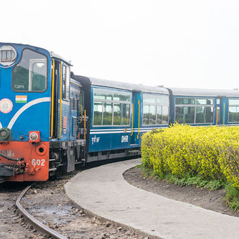 Darjeeling Sightseeing