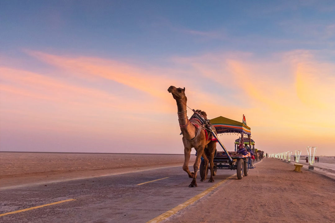 Rann Of Kutch Festival