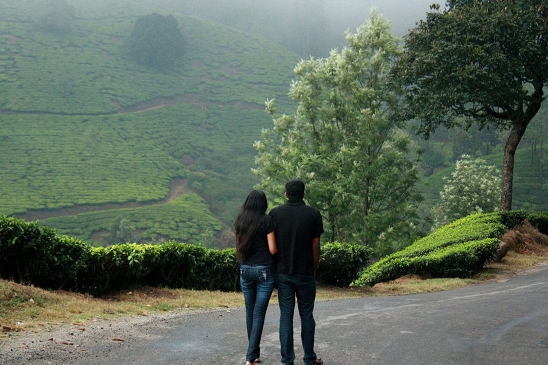 munnar honeymoon package