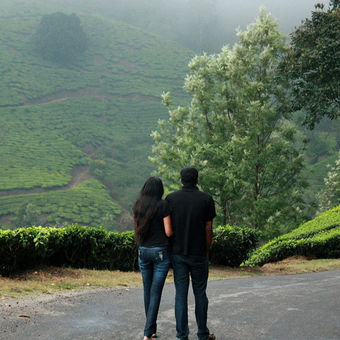 munnar honeymoon package