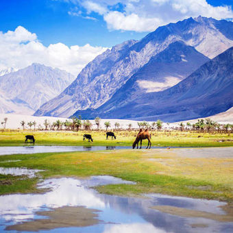 Nubra Valley