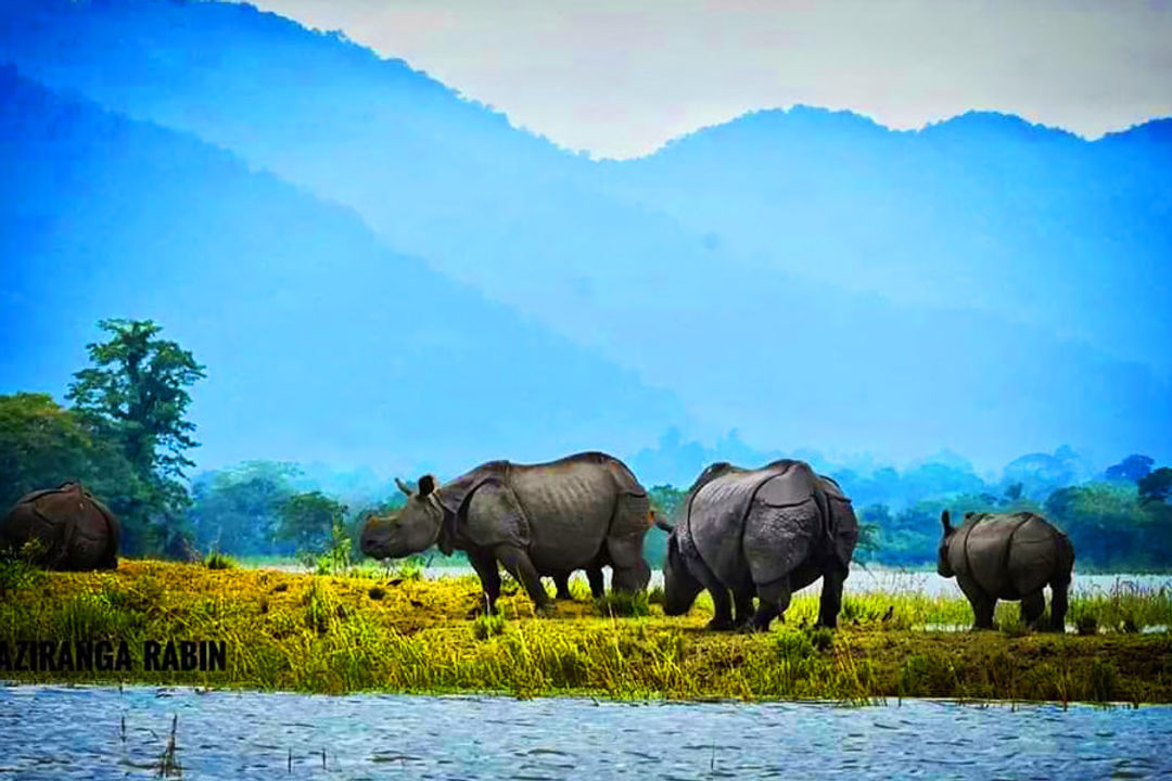 Kaziranga National Park