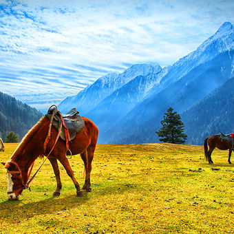 Aru Valley Near Pahalgam