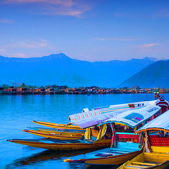 Dal lake the attractive destination in Kashmir