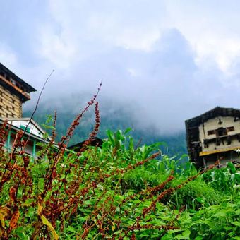 Chehni Kothi in Jibhi