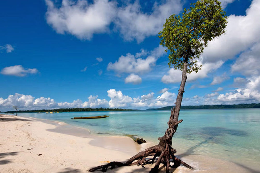 Havelock Island