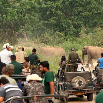 Corbett National Park