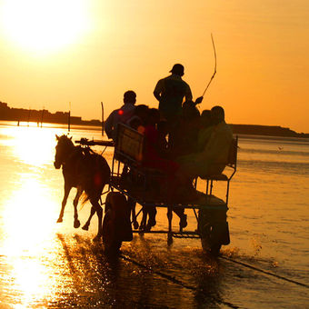 Alibag beach evning