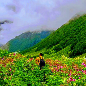 Valley of Flowers Uttarakhand