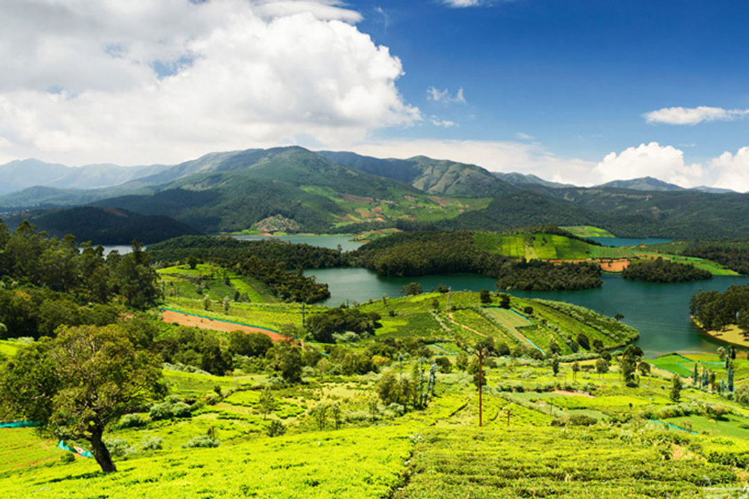 Ooty With Coonoor Tour