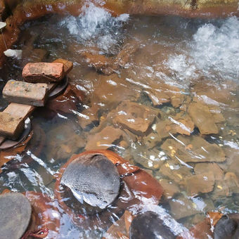 Langar Cooked in Hot Springs for Devotees