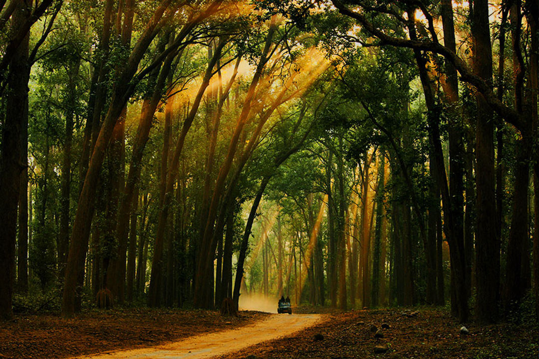 Roads of Corbett