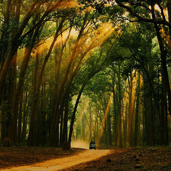 Roads of Corbett