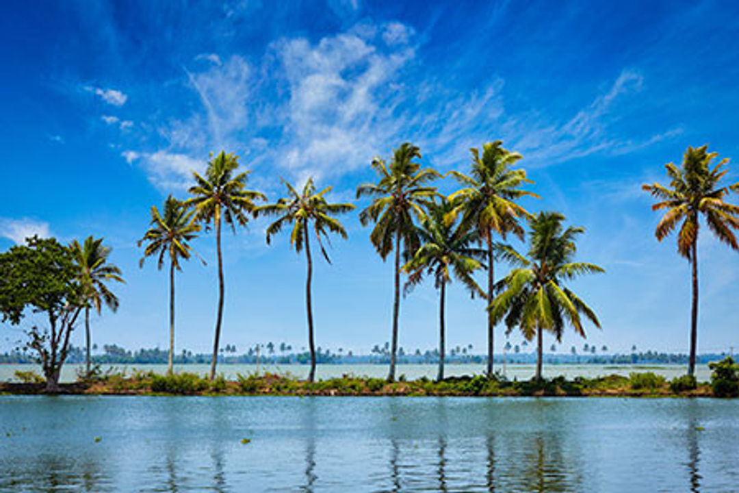 Backwaters