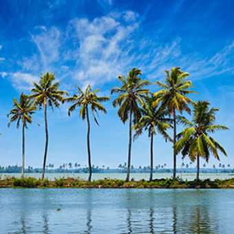 Backwaters