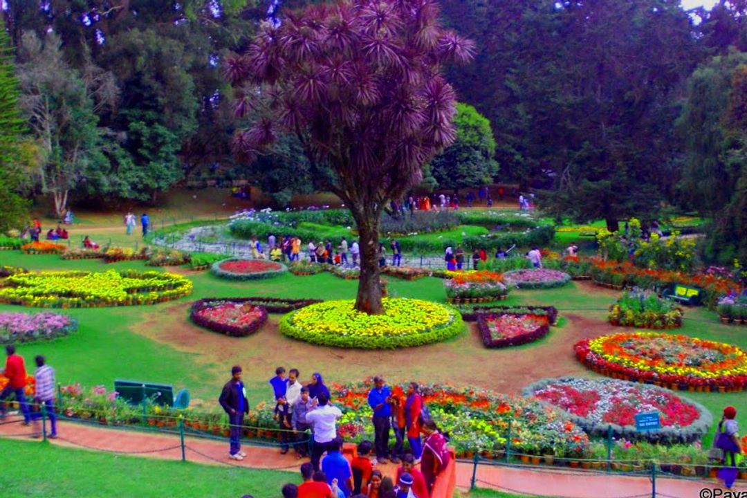 Ooty Family Tour