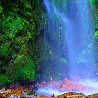 Jibhi waterfalls