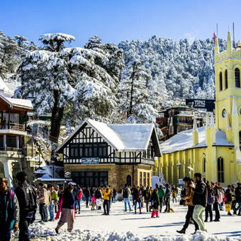 Shimla tour