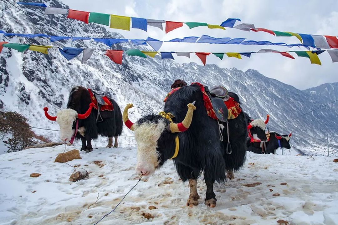 Sikkim