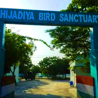 khijadiya bird sanctuary