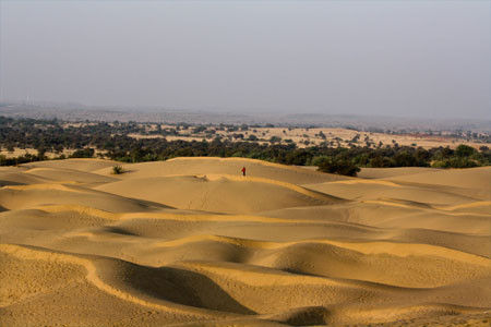 Thar dessert