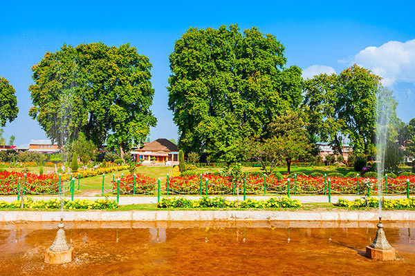 Beauty garden in Srinagar