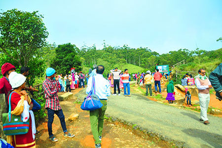 Eravikulam National Park