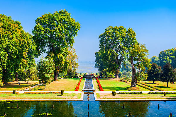 Beauty garden in Srinagar