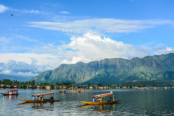 Wooden boats Dal Lake