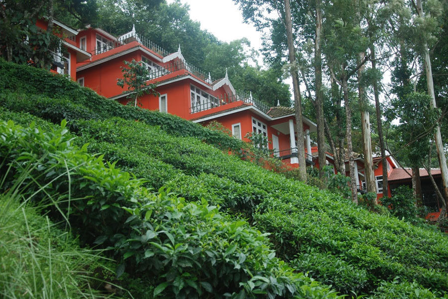 Stay in Munnar