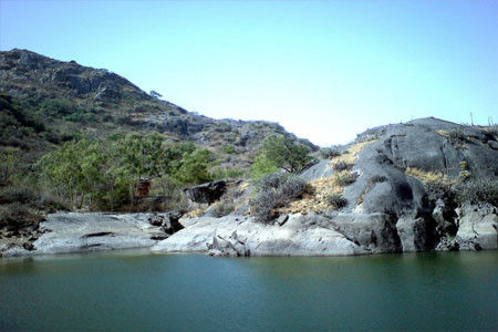 Mount abu wildlife santuary