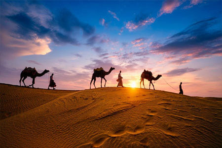 Thar desert safari