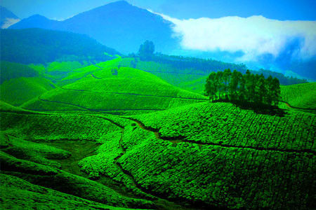 Green hills
