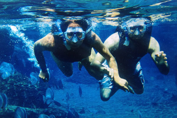 Elephant Beach Snorkeling