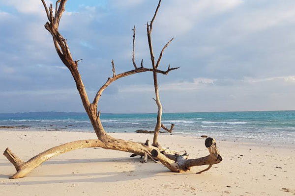 Kalapathar Beach