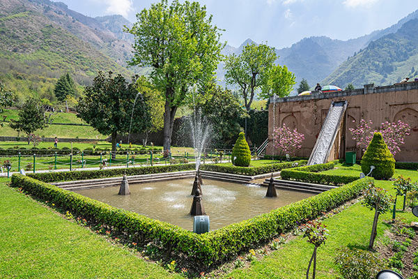 Chashme Shahi garden kashmir