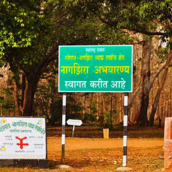 Weekend Tour from Nagpur to Nagzira