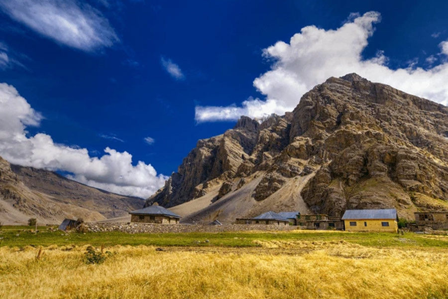 Himalayan Caravan