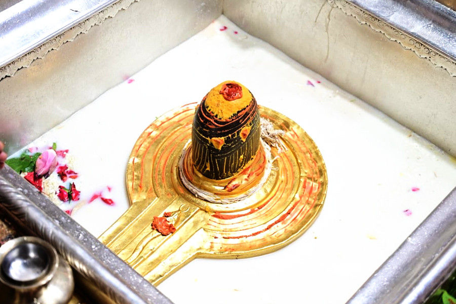 Spiritual Exploration of Vishwanath Temple with Bodhgaya