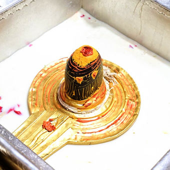 Spiritual Exploration of Vishwanath Temple with Bodhgaya