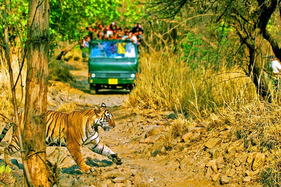 Golden Triangle with Ranthambore