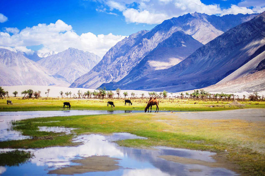 Wonders of Ladakh, All-Time Best Tour