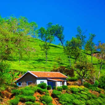 Weekend Tour Of Coonoor