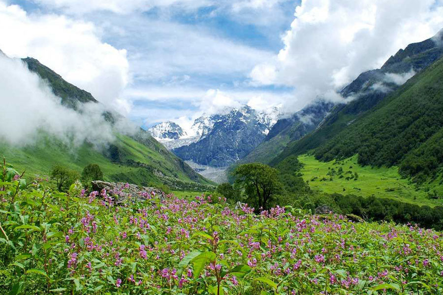 Experience the Nature in Uttarakhand