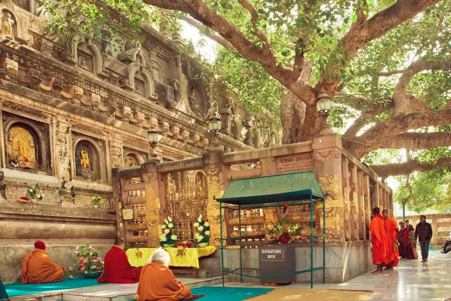 Exploring Path of Buddha
