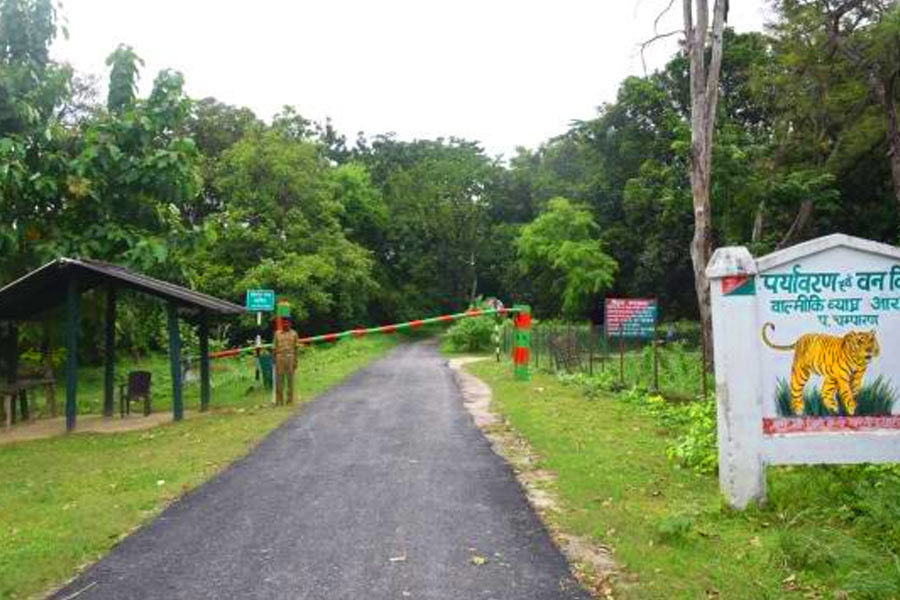 Weekend Gateway Tour to Valmikinagar