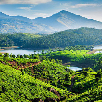 Munnar Weekend Tour