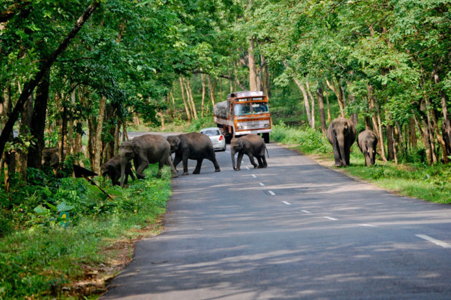 Backpacking Trip to The Tranquil Wayanad